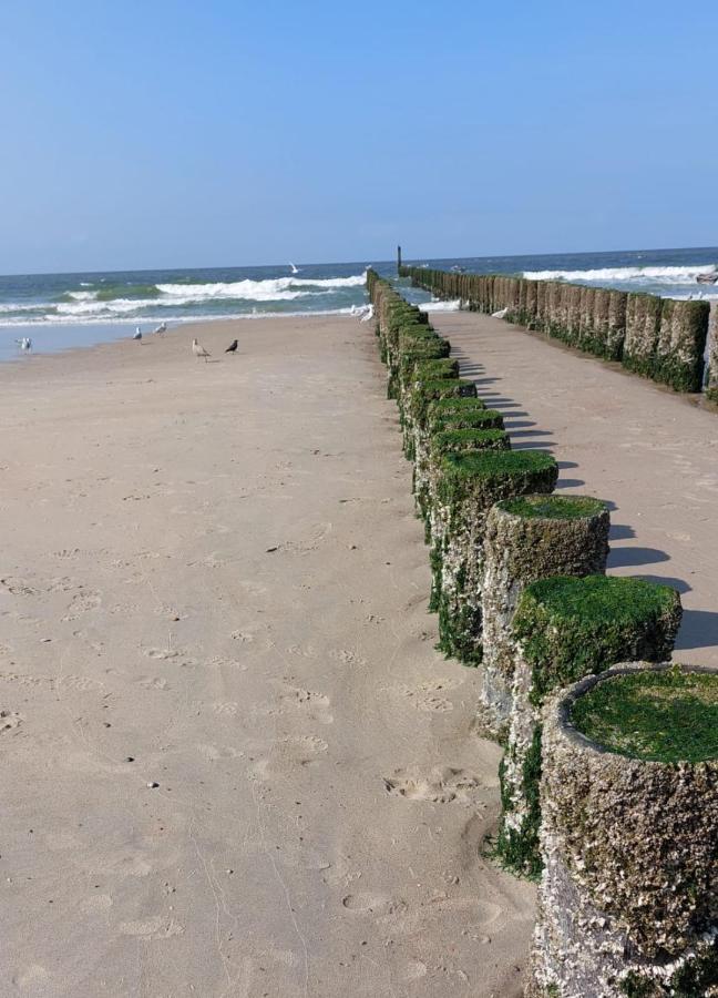 De Notenbalk Aan Zee Bed and Breakfast Vlissingen Esterno foto